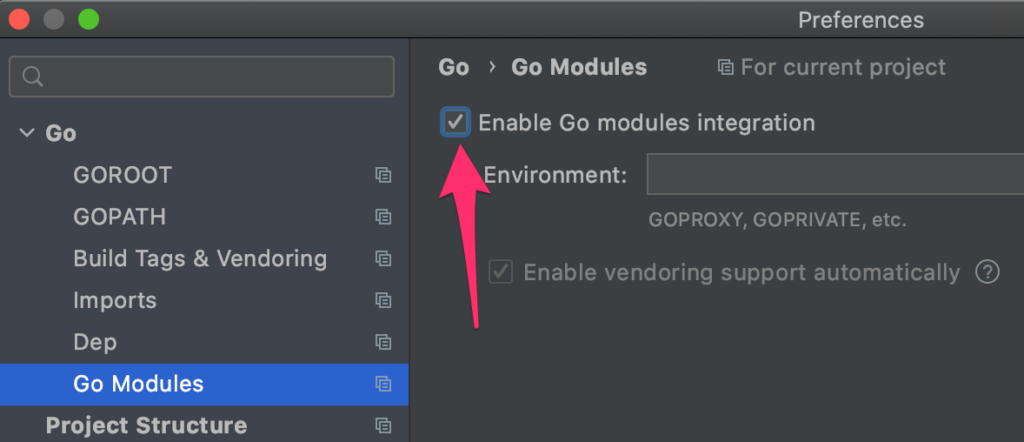 Enabling Modules in GoLand