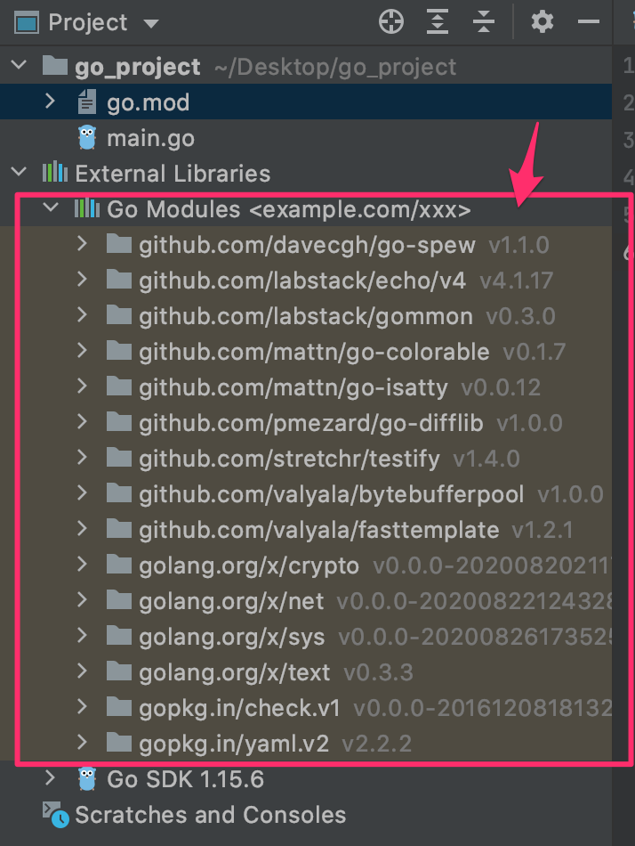 Enabling Modules in GoLand